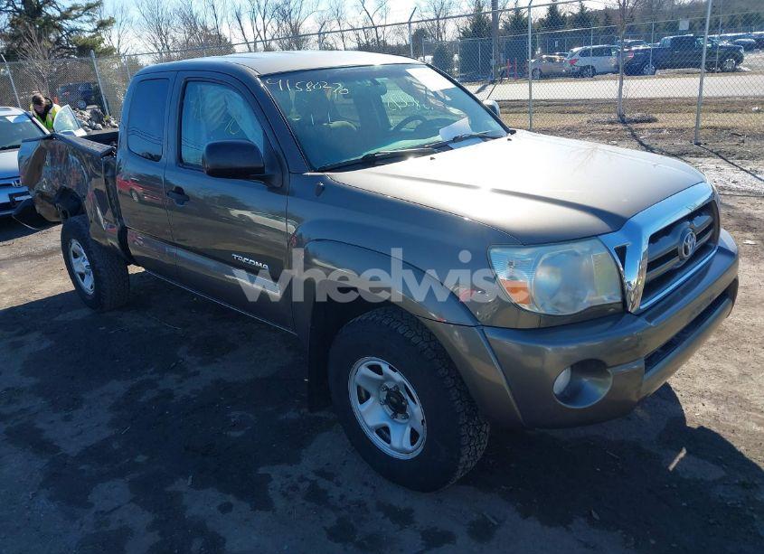 2009 Toyota Tacoma BASE V6 (VIN 5TEUU42N89Z650911) main photo