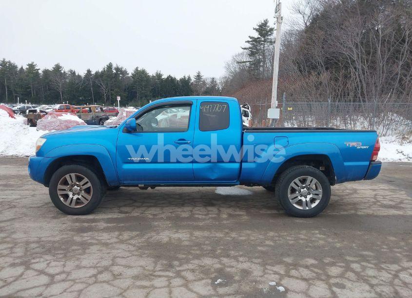 Photo 14 of 2005 Toyota Tacoma ACCESS CAB (VIN 5TEUU42N95Z077477)