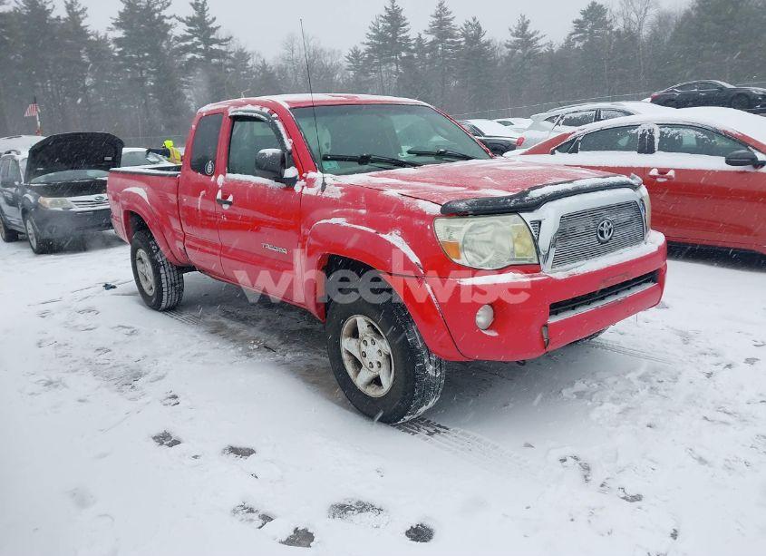 2008 Toyota Tacoma BASE V6 (VIN 5TEUU42NX8Z521583) main photo