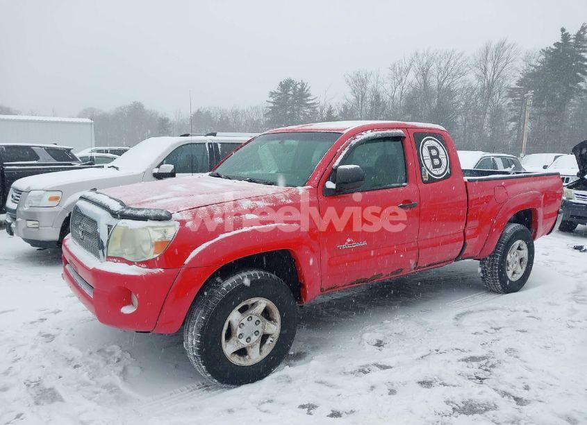 Photo 6 of 2008 Toyota Tacoma BASE V6 (VIN 5TEUU42NX8Z521583)