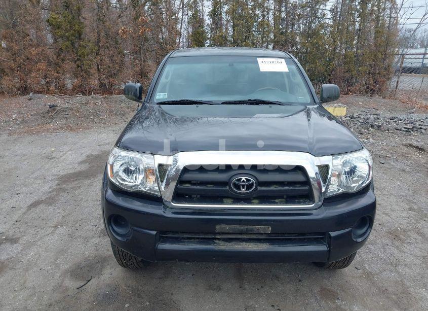 Photo 6 of 2005 Toyota Tacoma (VIN 5TEUX42N55Z098236)