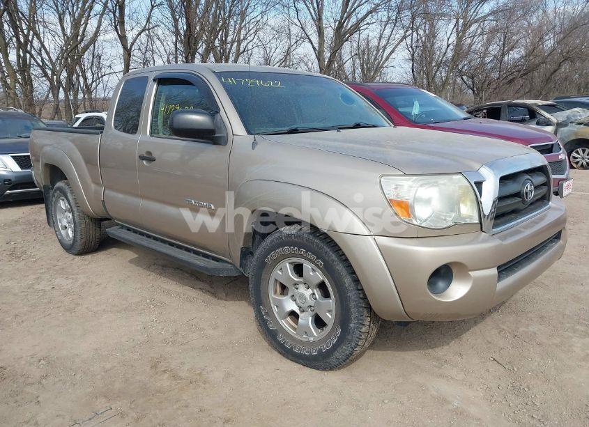 2008 Toyota Tacoma (VIN 5TEUX42N88Z484959) main photo