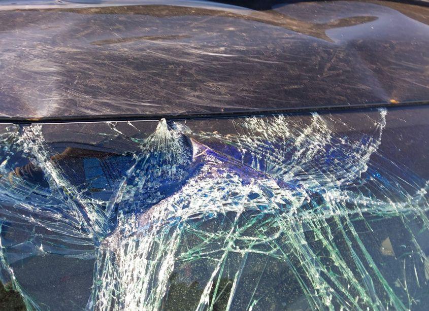 Photo 17 of 2008 Toyota Tundra SR5 5.7L V8 (VIN 5TFBV54168X057090)