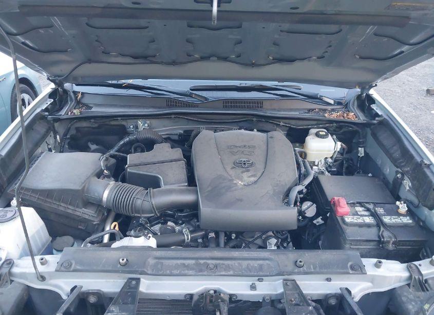 Photo 10 of 2021 Toyota Tacoma TRD OFF-ROAD (VIN 5TFCZ5AN0MX263001)