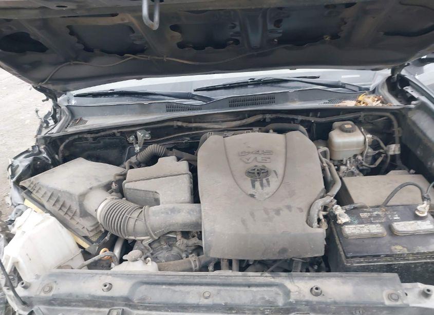 Photo 10 of 2021 Toyota Tacoma TRD OFF-ROAD (VIN 5TFCZ5AN3MX264224)