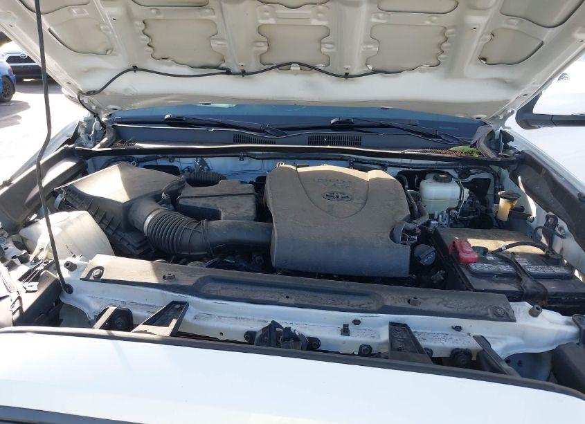 Photo 10 of 2020 Toyota Tacoma TRD OFF-ROAD (VIN 5TFCZ5AN4LX227116)