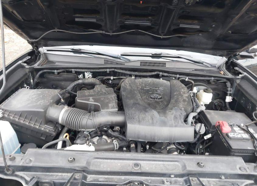Photo 10 of 2021 Toyota Tacoma TRD SPORT (VIN 5TFCZ5AN4MX260764)