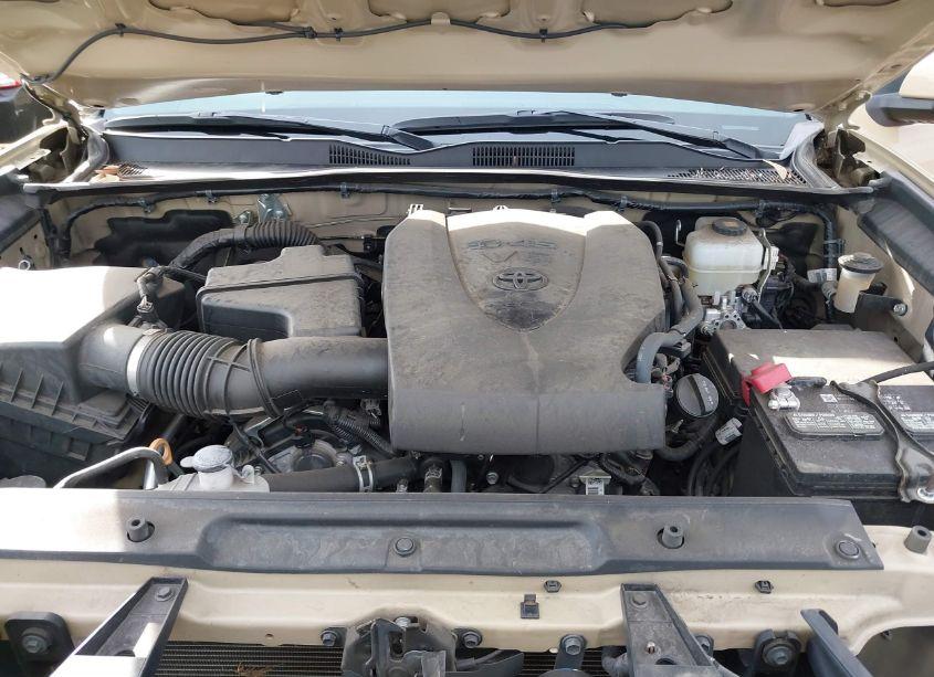 Photo 10 of 2020 Toyota Tacoma TRD OFF-ROAD (VIN 5TFCZ5AN5LX220630)