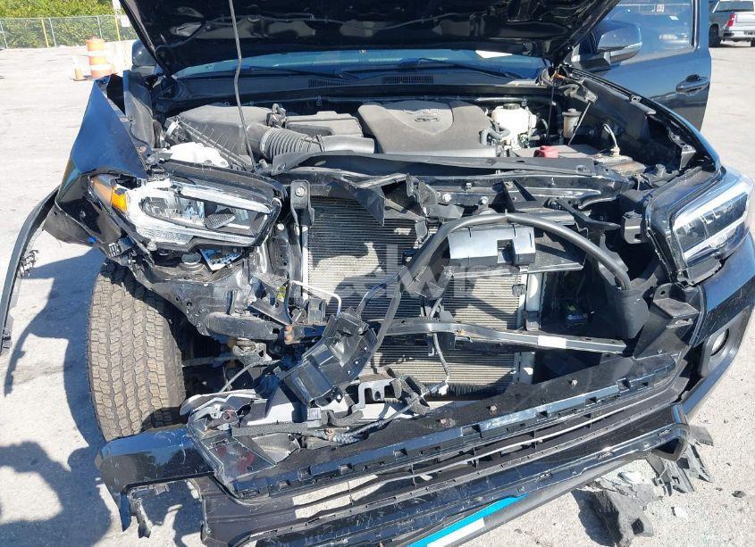 Photo 6 of 2020 Toyota Tacoma TRD OFF-ROAD (VIN 5TFCZ5AN5LX241994)