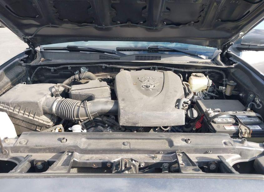 Photo 10 of 2020 Toyota Tacoma TRD OFF-ROAD (VIN 5TFCZ5AN8LX230231)