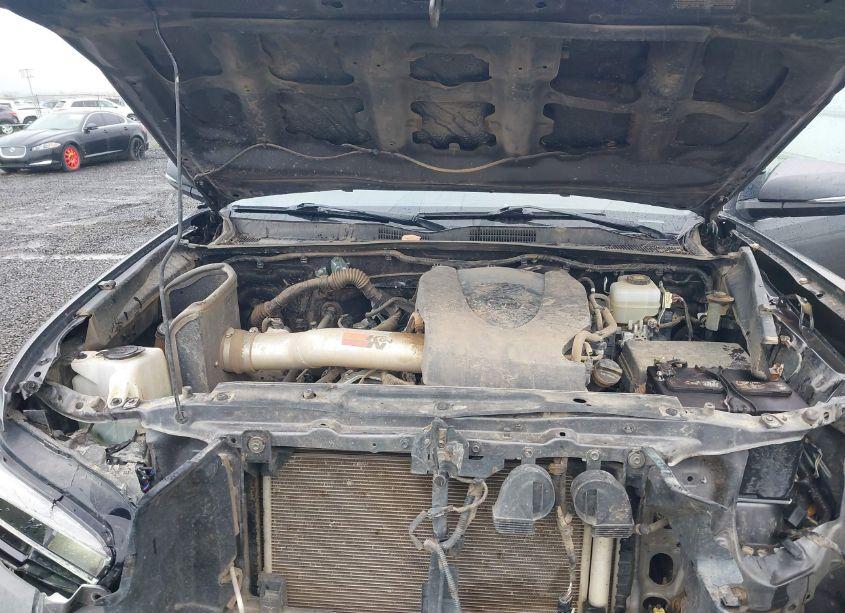 Photo 10 of 2020 Toyota Tacoma TRD OFF-ROAD (VIN 5TFCZ5AN9LX241691)