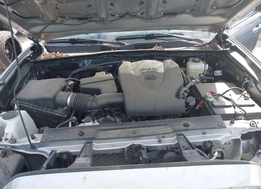 Photo 10 of 2020 Toyota Tacoma TRD OFF-ROAD (VIN 5TFDZ5BN1LX054075)