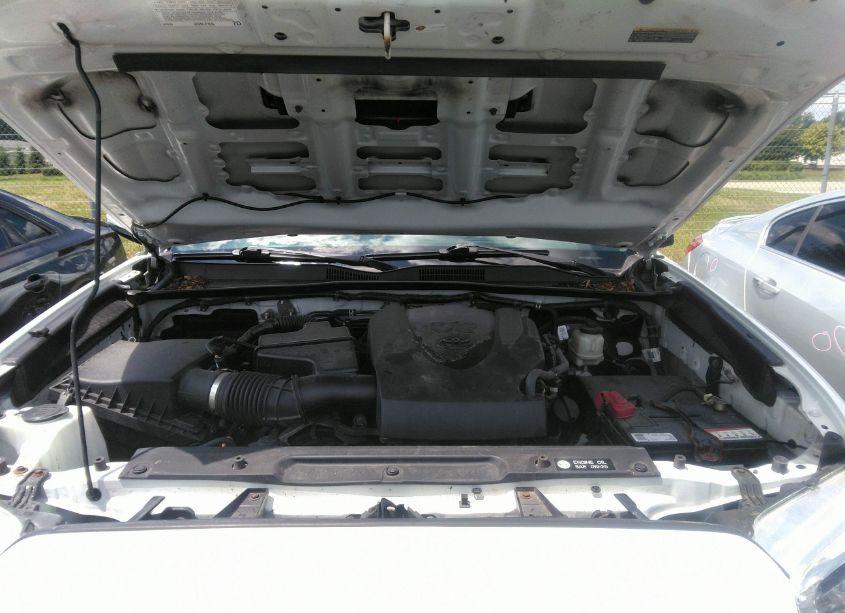 Photo 10 of 2019 Toyota Tacoma TRD OFF ROAD (VIN 5TFDZ5BNXKX038701)