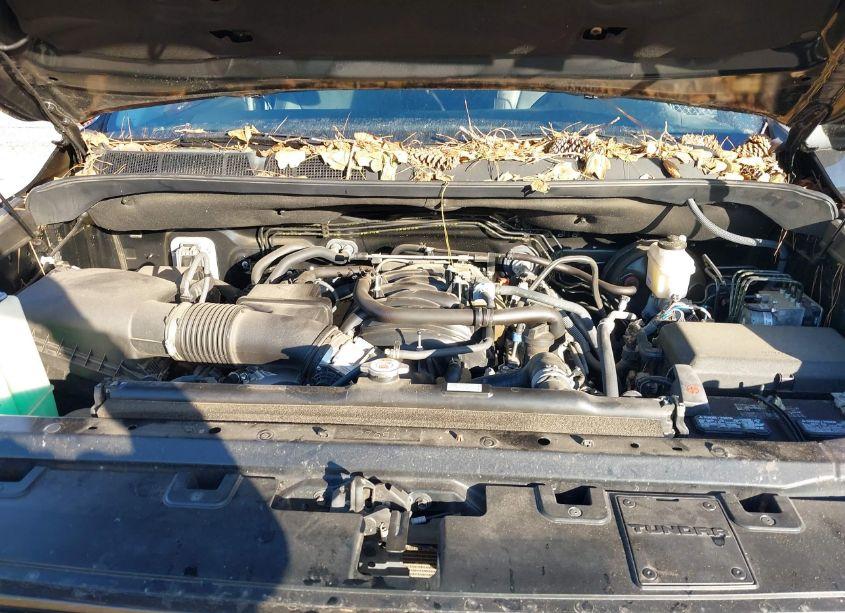 Photo 10 of 2021 Toyota Tundra 2WD LIMITED (VIN 5TFFY5F10MX288406)