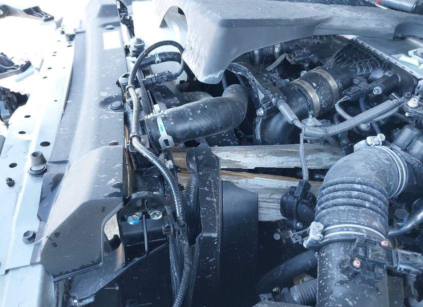 Photo 18 of 2024 Toyota Tundra SR5 (VIN 5TFLA5AB6RX038277)