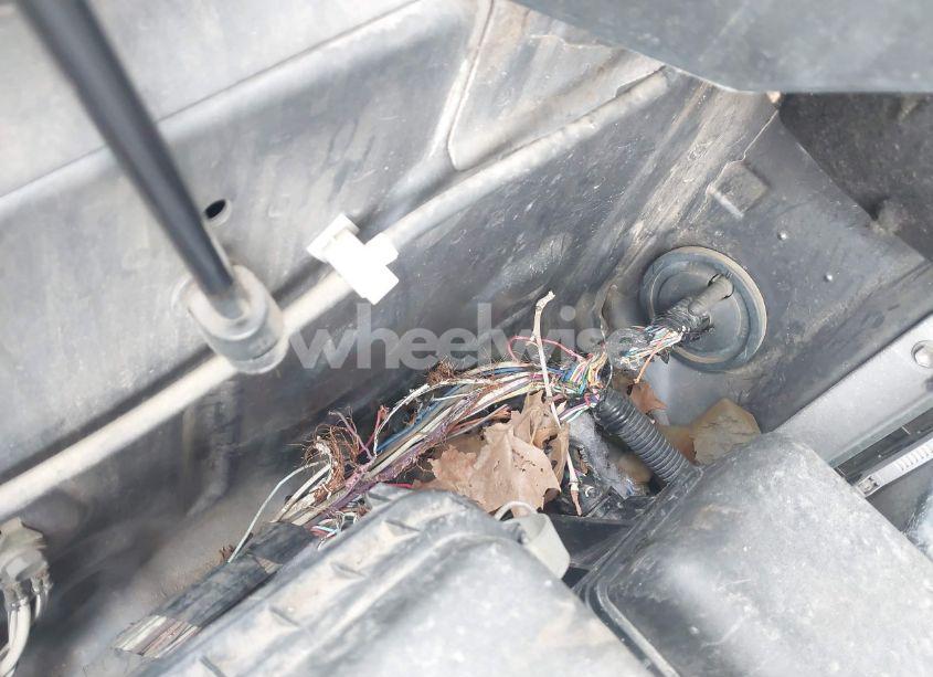 Photo 6 of 2007 Toyota Tundra BASE 5.7L V8 (VIN 5TFLV52167X022698)