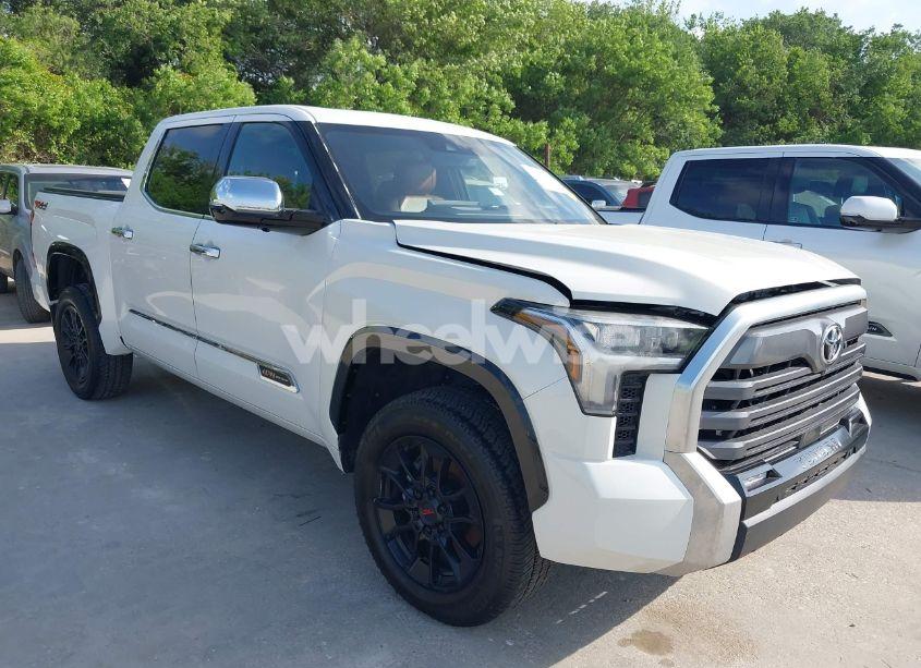 2022 Toyota Tundra 1794 EDITION (VIN 5TFMA5DB0NX009609) main photo