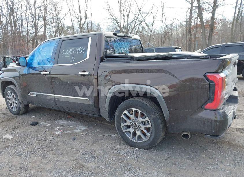 Photo 13 of 2024 Toyota Tundra 1794 EDITION (VIN 5TFMA5DBXRX159104)