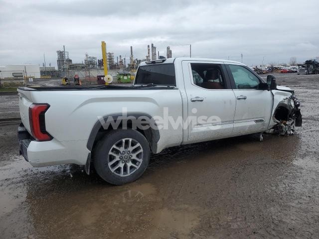 2022 TOYOTA TUNDRA CREWMAX PLATINUM (VIN 5TFMA5EC3NX009787) main photo