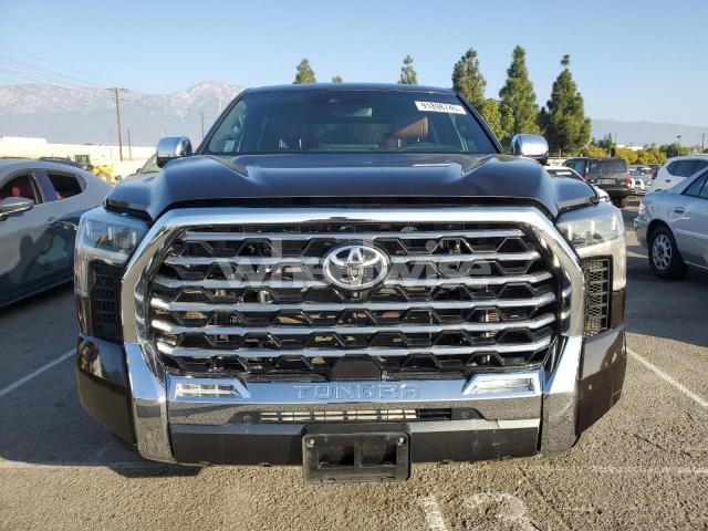 Photo 4 of 2022 TOYOTA TUNDRA CREWMAX PLATINUM (VIN 5TFMA5EC8NX007808)