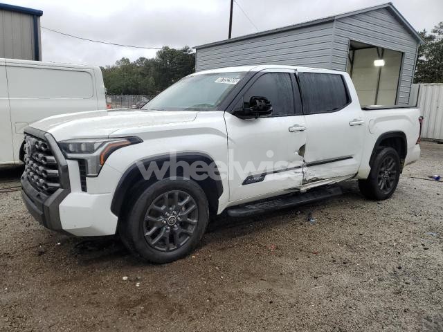 2022 TOYOTA TUNDRA CREWMAX PLATINUM (VIN 5TFNA5AB1NX001561) main photo