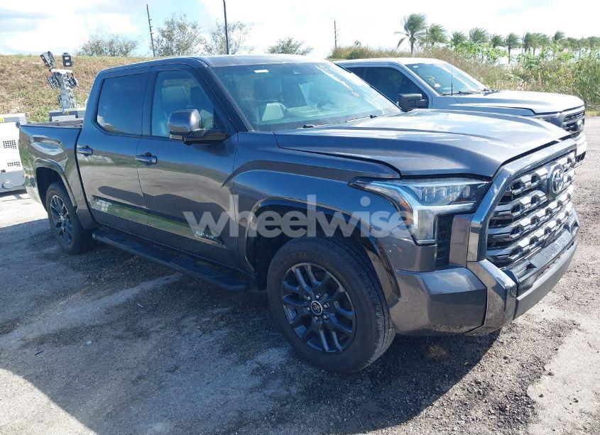 2022 Toyota Tundra PLATINUM (VIN 5TFNA5AB6NX016895) main photo