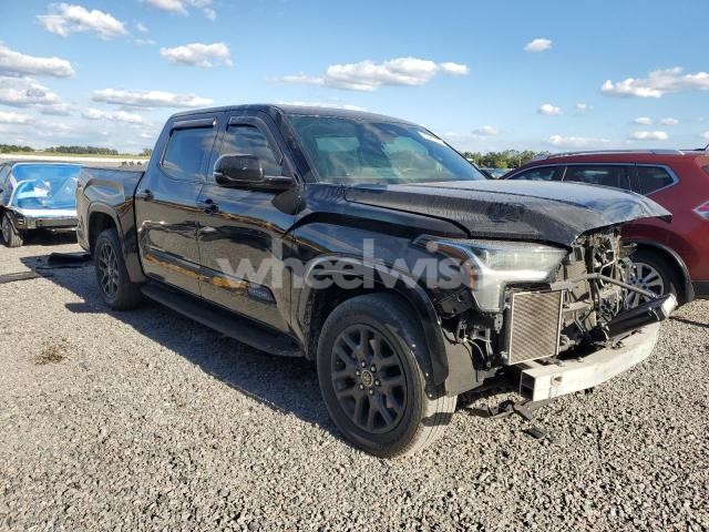 2023 TOYOTA TUNDRA CREWMAX PLATINUM (VIN 5TFNA5AB7PX023874) main photo