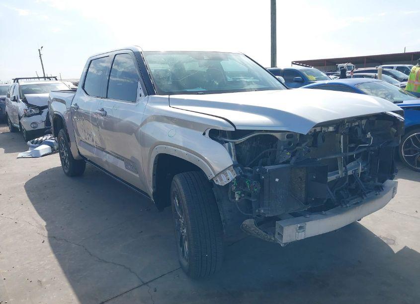 2022 Toyota Tundra PLATINUM (VIN 5TFNA5AB8NX002738) main photo