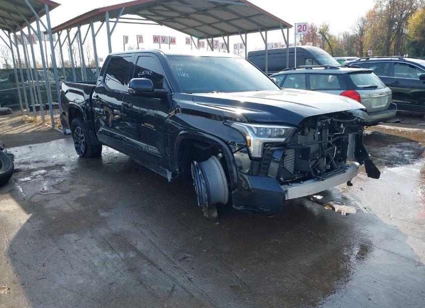 2024 Toyota Tundra PLATINUM (VIN 5TFNA5DB1RX192352) main photo