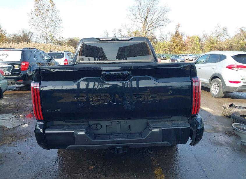 Photo 17 of 2024 Toyota Tundra PLATINUM (VIN 5TFNA5DB1RX192352)