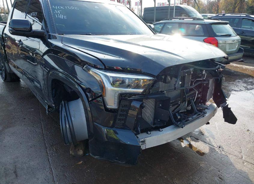 Photo 19 of 2024 Toyota Tundra PLATINUM (VIN 5TFNA5DB1RX192352)