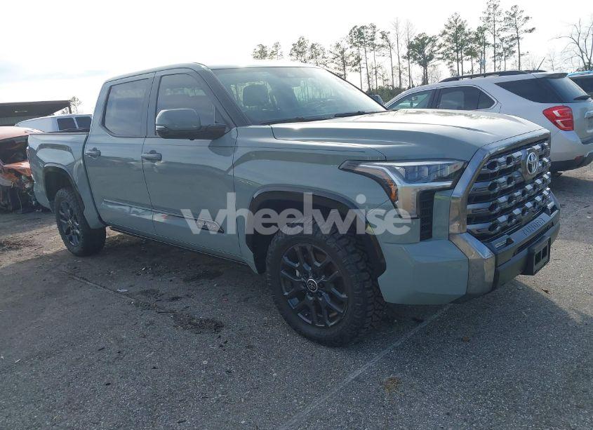 2024 Toyota Tundra PLATINUM (VIN 5TFNA5DB1RX195543) main photo