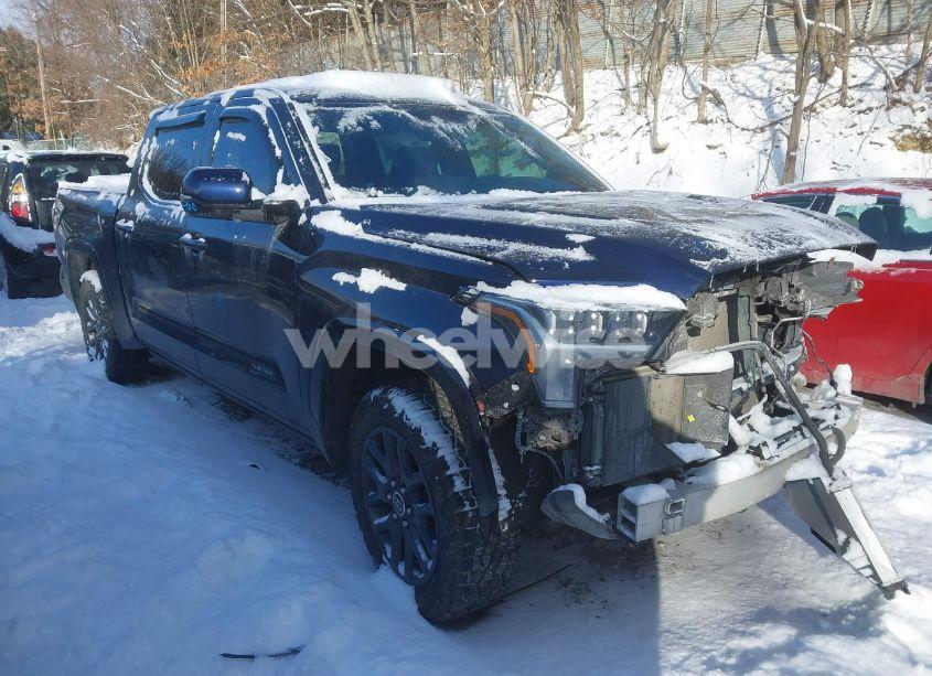 2023 Toyota Tundra PLATINUM (VIN 5TFNA5DB4PX064765) main photo