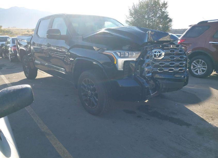 2024 Toyota Tundra PLATINUM (VIN 5TFNA5DB5RX148287) main photo