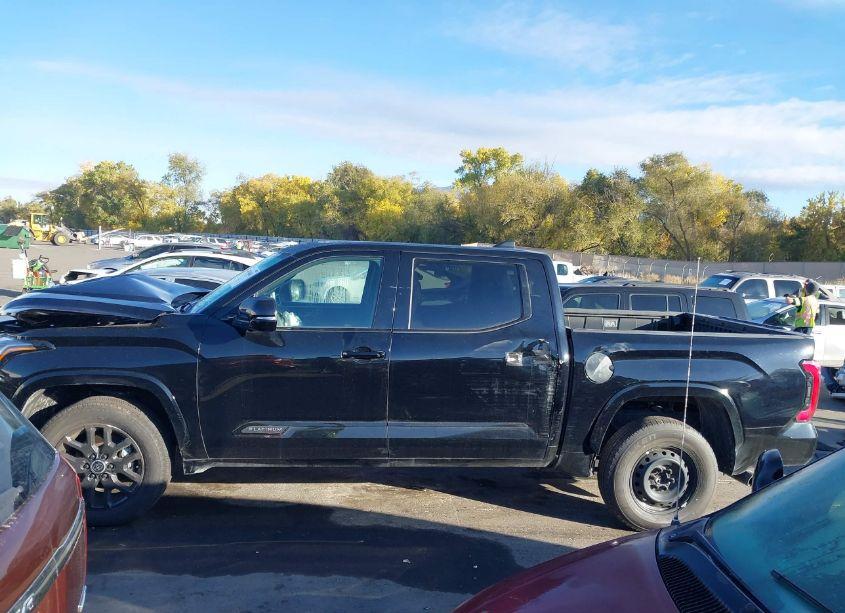 Photo 14 of 2024 Toyota Tundra PLATINUM (VIN 5TFNA5DB5RX148287)