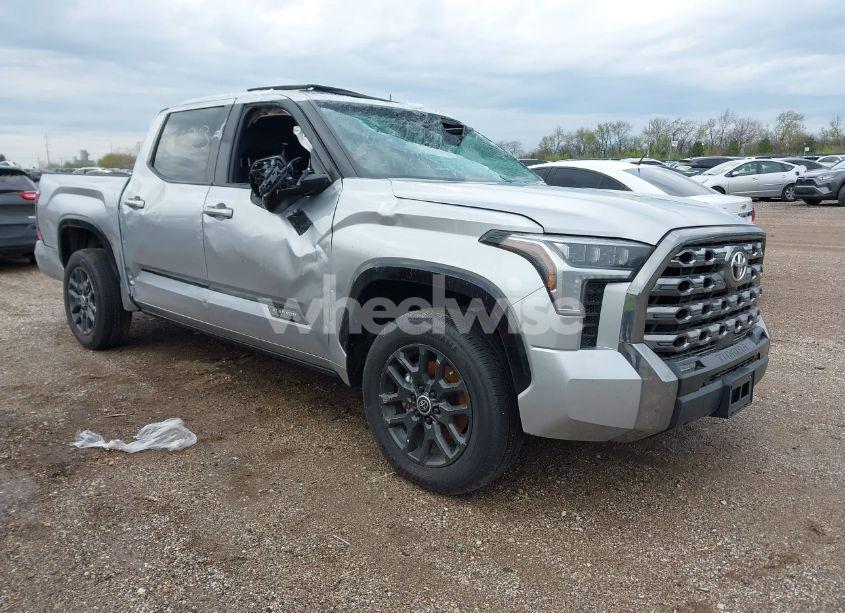 2024 Toyota Tundra PLATINUM 4WD (VIN 5TFNA5DB7RX142071) main photo