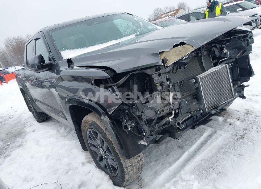 2022 Toyota Tundra PLATINUM (VIN 5TFNA5DB8NX025240) main photo