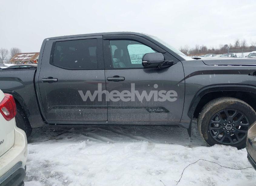 Photo 14 of 2022 Toyota Tundra PLATINUM (VIN 5TFNA5DB8NX025240)