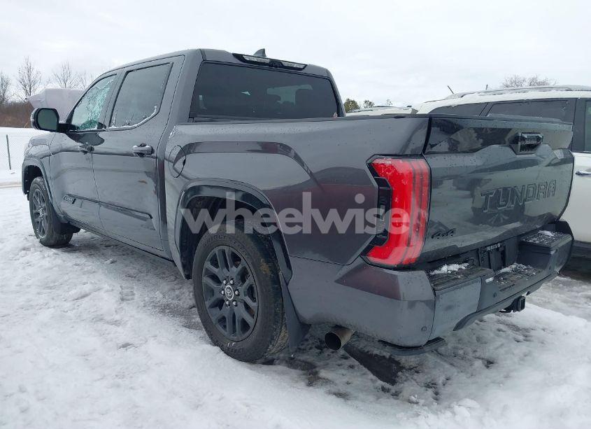 Photo 3 of 2022 Toyota Tundra PLATINUM (VIN 5TFNA5DB8NX025240)