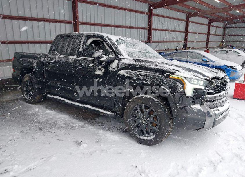 2023 Toyota Tundra PLATINUM (VIN 5TFNA5DBXPX079559) main photo