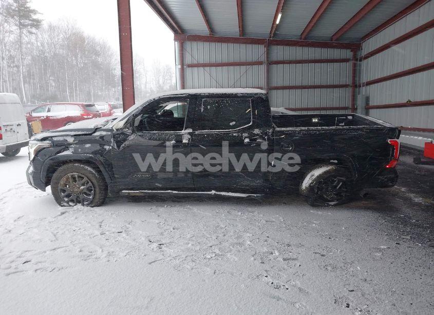 Photo 14 of 2023 Toyota Tundra PLATINUM (VIN 5TFNA5DBXPX079559)