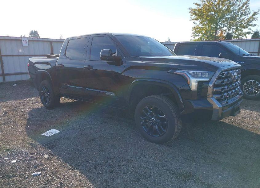 2023 Toyota Tundra PLATINUM (VIN 5TFNA5DBXPX117873) main photo