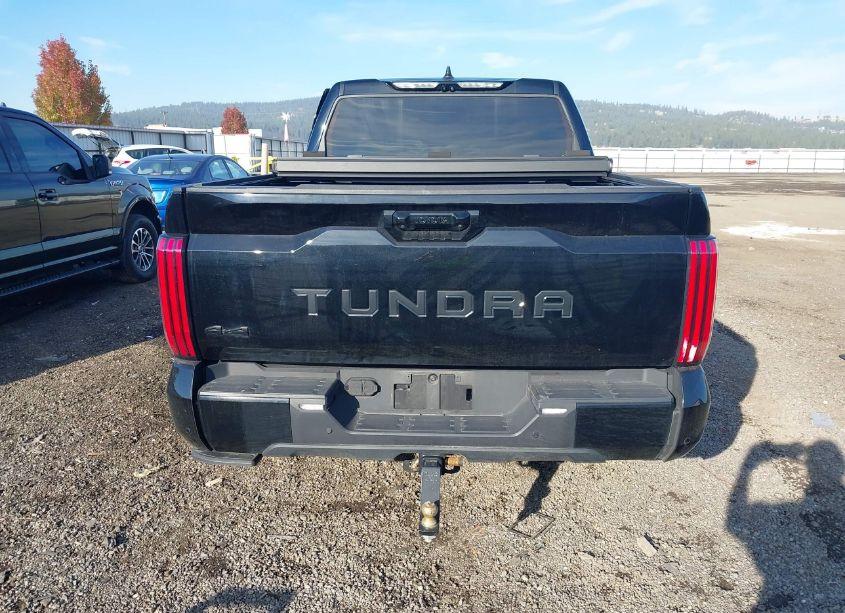 Photo 16 of 2023 Toyota Tundra PLATINUM (VIN 5TFNA5DBXPX117873)