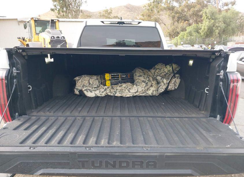 Photo 18 of 2022 Toyota Tundra PLATINUM (VIN 5TFNA5EC8NX001706)