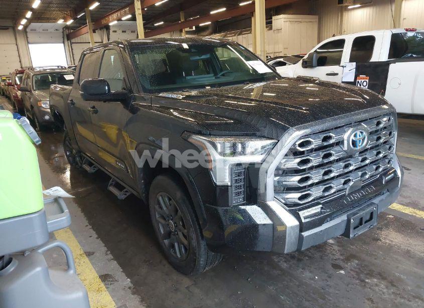 2024 Toyota Tundra HYBRID PLATINUM (VIN 5TFNC5DB1RX050576) main photo