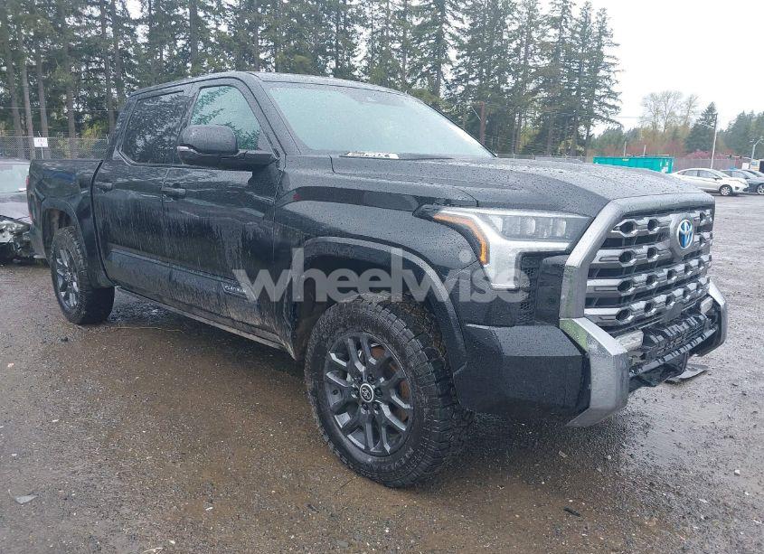 2024 Toyota Tundra HYBRID PLATINUM 4WD (VIN 5TFNC5DB1RX079995) main photo