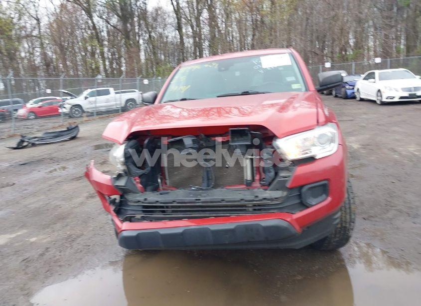 Photo 12 of 2019 Toyota Tacoma SR (VIN 5TFSX5EN2KX068428)