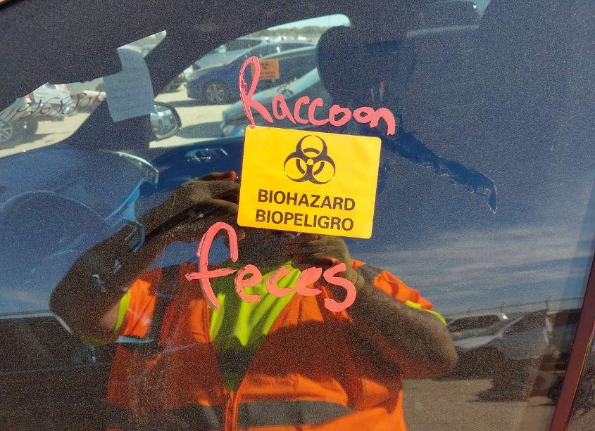 Photo 12 of 2021 Bmw X5 SDRIVE40I (VIN 5UXCR4C00M9G93760)