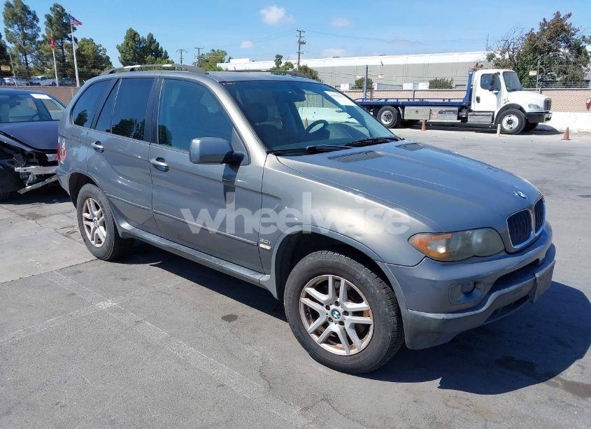 2006 Bmw X5 3.0I (VIN 5UXFA13506LY32142) main photo