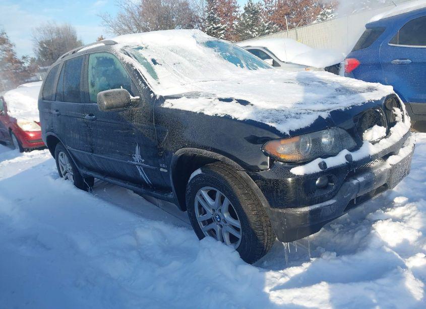 2004 Bmw X5 3.0I (VIN 5UXFA13514LU22186) main photo